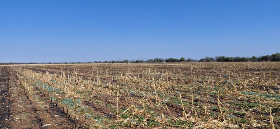 Commercial Property for Sale in Barkly West Rural Northern Cape